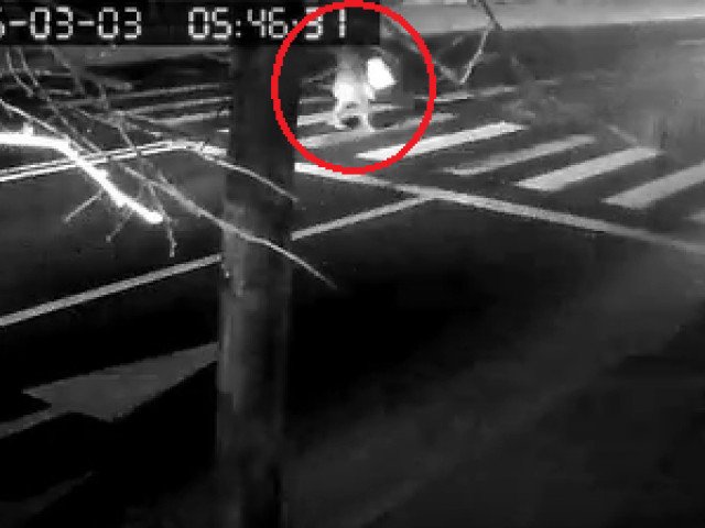 Cadrul tragic din spatele accidentului spectaculos: o anchetă ce ridică semne de întrebare asupra culpabilității lui Kader Keita Un accident rutier care a zguduit recent scena sportivă românească și internațională a ridicat întrebări serioase despre circumstanțele în care s-a produs, dar și despre rolul jucătorului Kader Keita în această tragedie