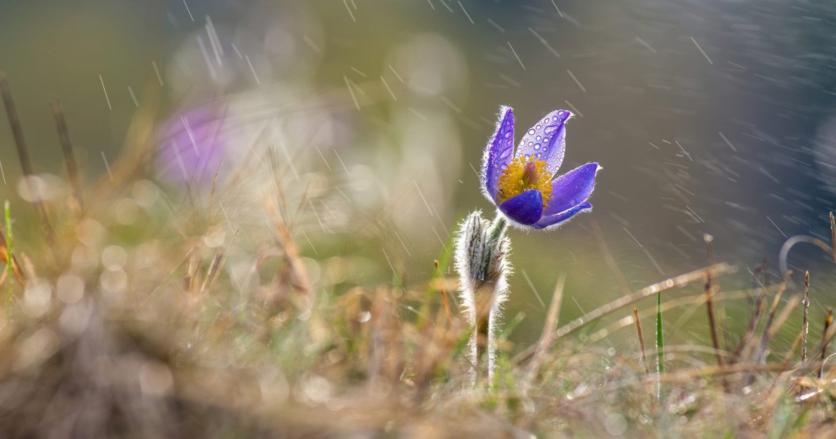 România se pregătește pentru o schimbare bruscă a vremii, după o perioadă de zile cu temperaturi anormal de ridicate pentru această perioadă a anului