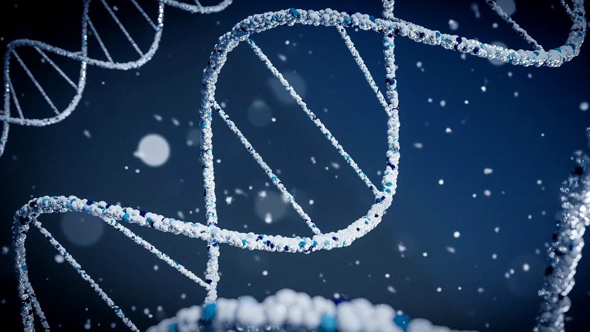 Descoperirile recente din domeniul geneticii arată că istoria populațiilor din Europa preistorică este mult mai complexă și mai nuanțată decât se credea anterior