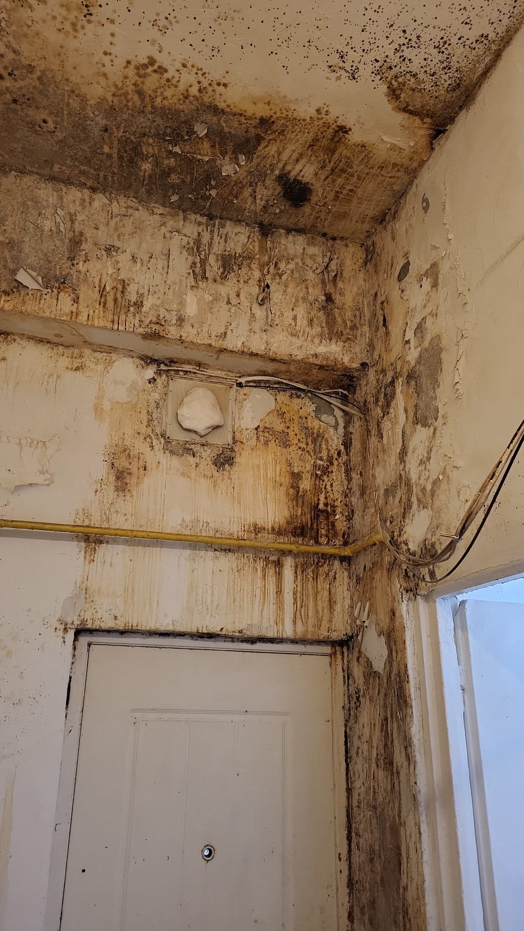 Verificări riguroase în lanțurile alimentare: peste 1.700 de operatori controlați în doar câteva zile, cu rezultate alarmante În perioada 2-6 martie 2026, inspectorii Autorității Naționale pentru Protecția Consumatorilor (ANPC) au realizat controale intense în peste 1.700 de operatori economici din sectorul alimentar