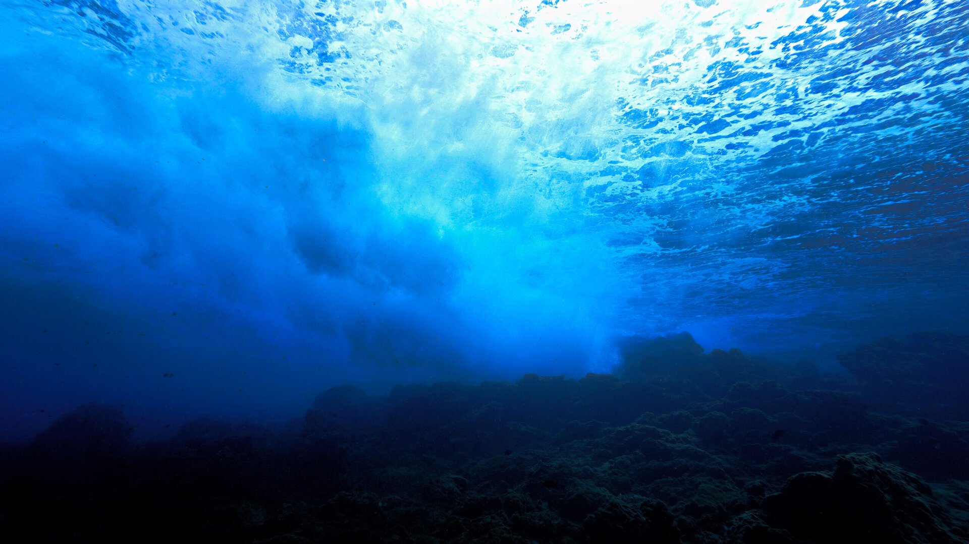 Descoperire spectaculoasă în adâncurile Oceanului Atlantic: se confirmă, după multă vreme de dezbateri, că Marele Canion al Atlanticului, cunoscut oficial drept Depresiunea King, a fost forjat prin forțe tectonice și magmatice complexe