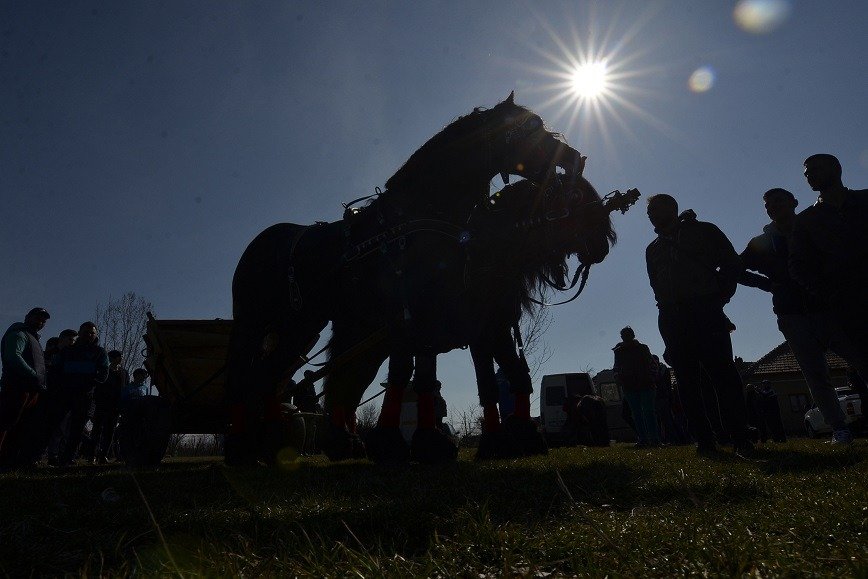 Primarii din zona metropolitană Iași resping propunerea premierului Ili Bolojan de a transforma localitățile din jurul municipiului reședință în sectoare administrative, o idee care a iscat deja dispute între liderii locali și guvernamentali