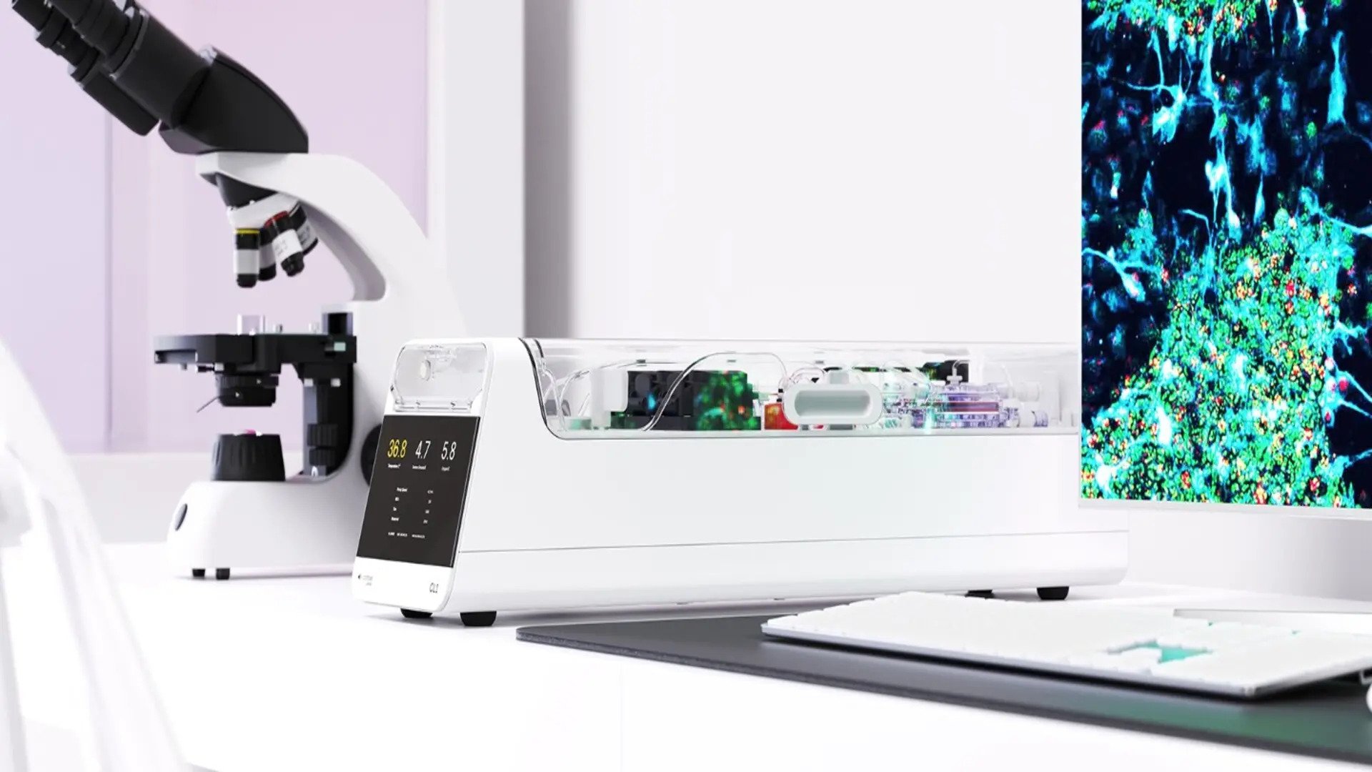 Cercetările din domeniul tehnologiei și biologiei ating noi culmi printr-o descoperire care promite să transforme fundamental modul în care interacționăm cu sistemele informatice