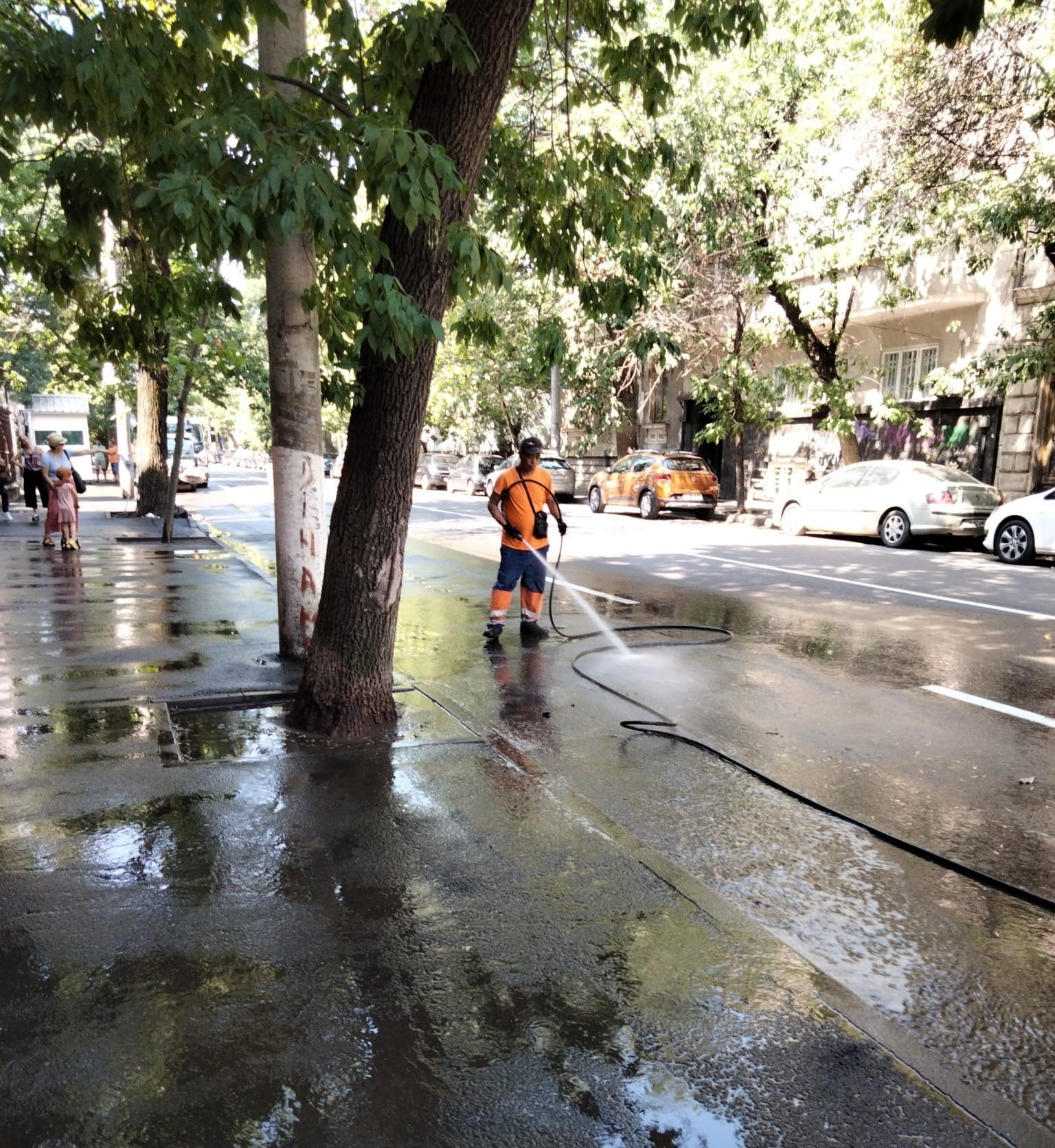 Primăvara a venit cu un nou val de acțiuni de curățenie și întreținere în Sectorul 2 al Capitalei, marcând începutul unui sezon dedicat reîmprospătării orașului