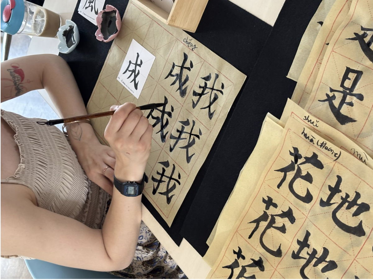 Primăvara vine mai devreme la București, cu deschiderea Art Safari New Museum în Piața Amzei După săptămâni de așteptare, Bucureștiul încinge din nou interesul pentru artă, cultură și evenimente creative