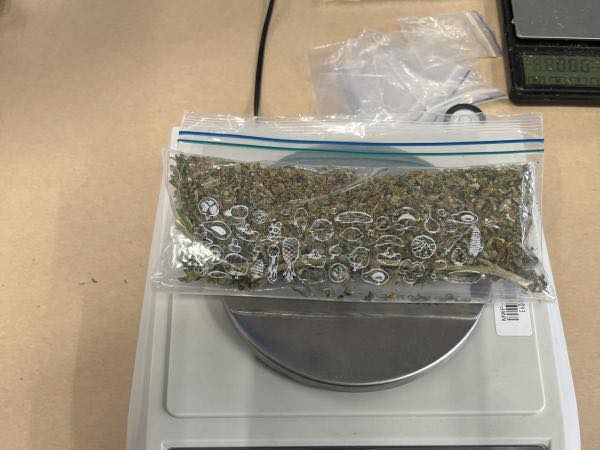 Adolescenți neatenți au adus o descoperire periculoasă în fața unei organizații caritabile din Auckland, Noua Zeelandă, într-un incident care ar putea avea consecințe legale și sociale grave