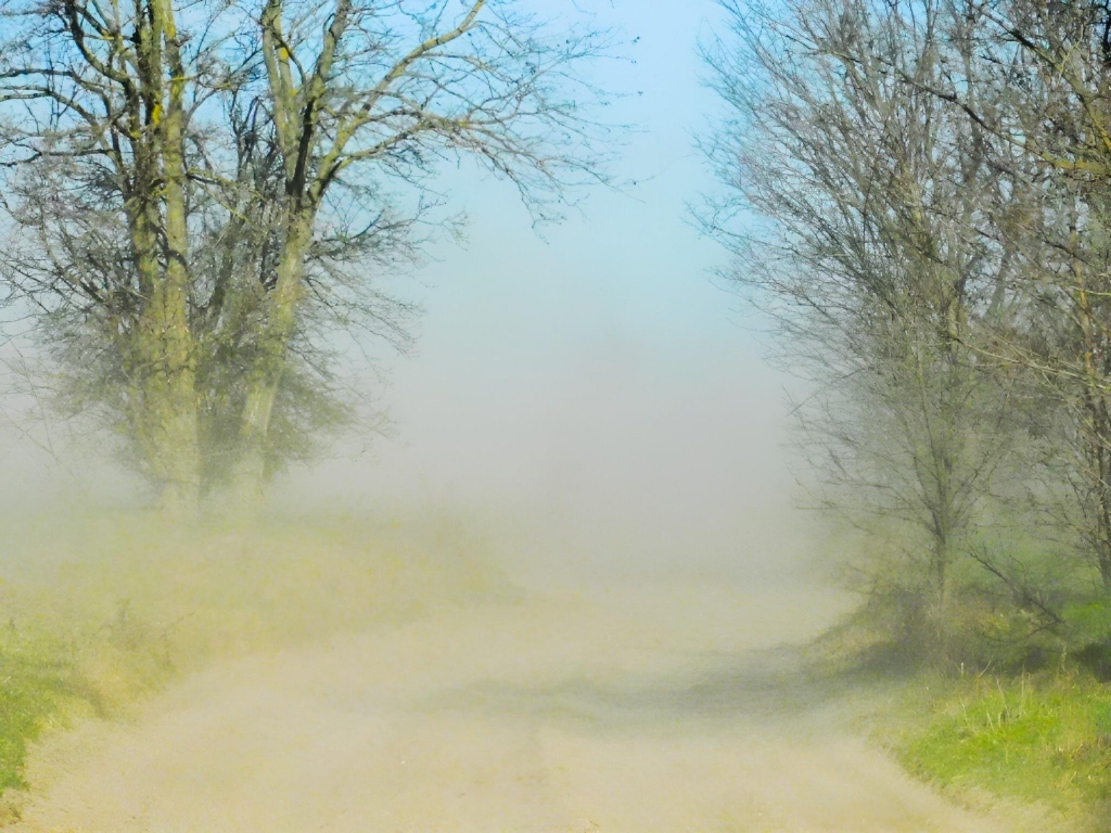 Vânturile puternice vor lovi din nou sudul și estul României în următoarele zile, aducând cu ele riscul unor fenomene meteo extreme, în contextul în care sezonul schimbărilor climatice pare să devină tot mai dinamic și imprevizibil