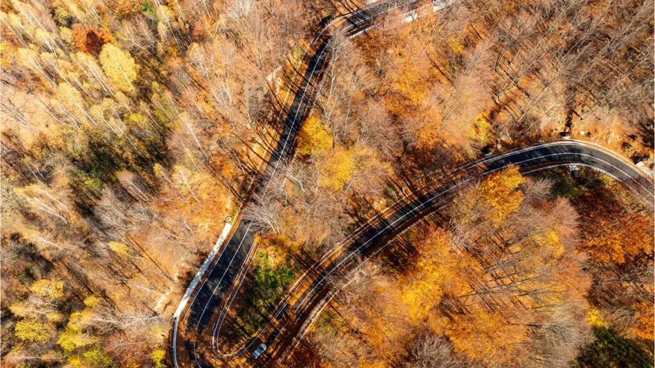 Drumul național DN2L Soveja – Lepșa, odinioară simbol al neglijenței și al desconsiderării infrastructurii rutiere din regiunea Vrancea, a fost complet modernizat după ani întregi de promisiuni