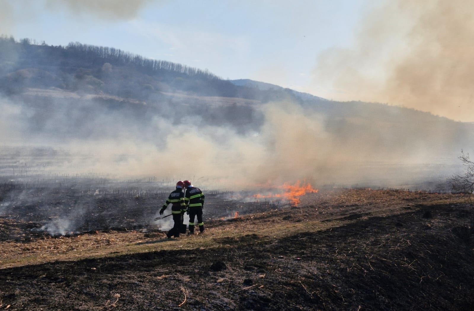 Incendiu devastator în Munții Maramureșului: Flăcările amenință pădurile din zona complexului „Două Veverițe” Un incendiu de proporții a izbucnit duminică în zonele împădurite din apropierea complexului turistic „Două Veverițe”, din județul Maramureș, generând o alarmă majoră pentru autorități și salvatori