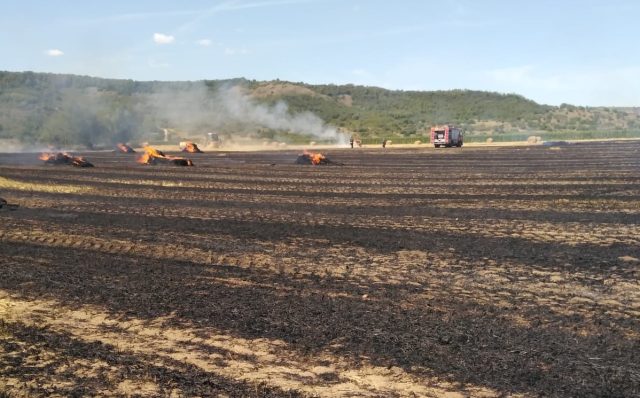 Trafic feroviar oprit după un incendiu de vegetație uscată între localitățile Archita și Mureni Miercuri, circulația trenurilor pe linia ferată din județul Mureș a fost temporar suspendată din cauza unui incendiu de vegetație uscată, izbucnit în apropierea liniei ferate între localitățile Archita și Mureni