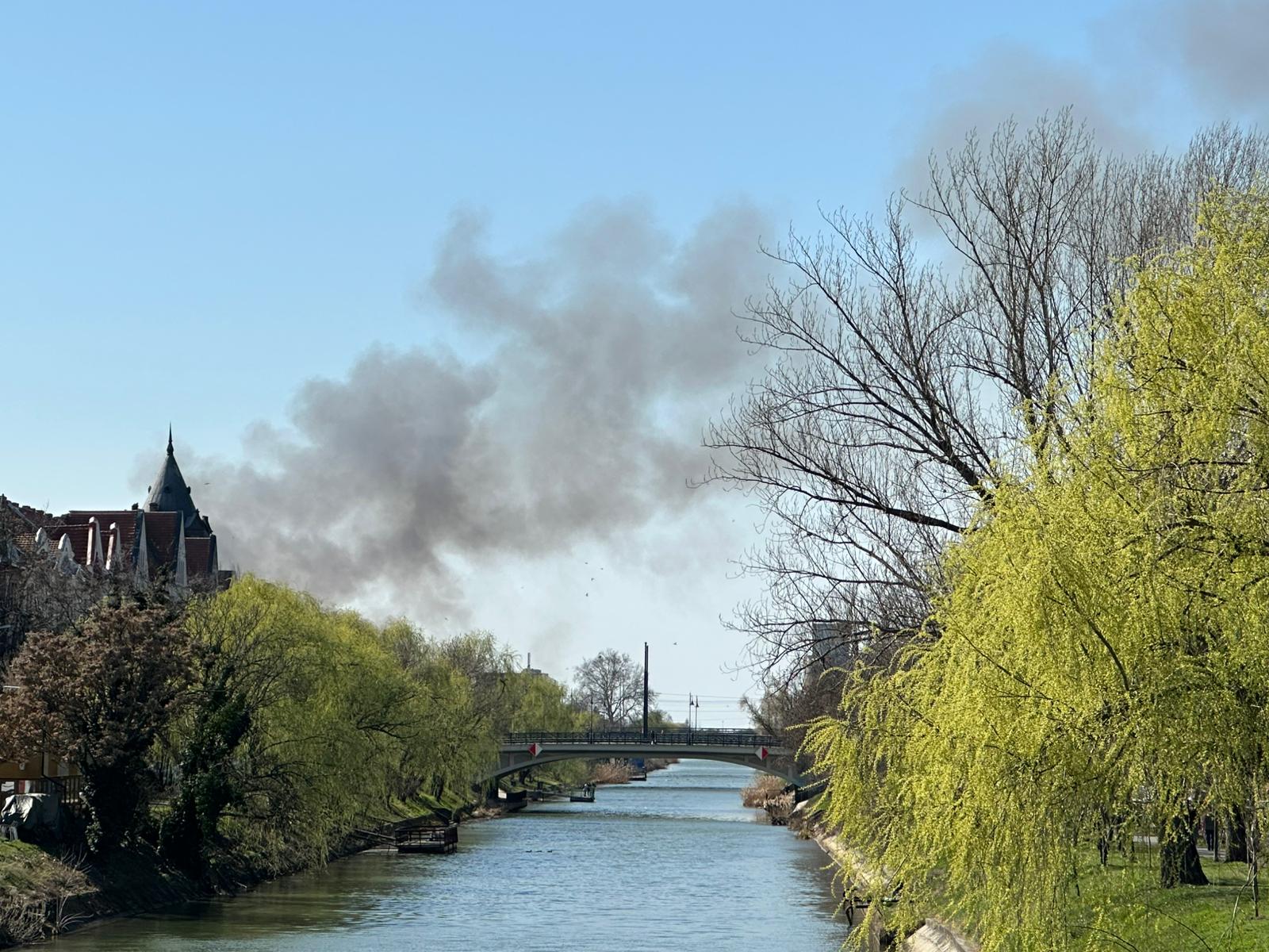 Incendiu în zona Freidorf din Timișoara: intervenție rapidă a pompierilor pentru stingerea unui foc de lăstăriș și deșeuri Miercuri, în jurul prânzului, pompierii din Timișoara au intervenit prompt pentru stingerea unui incendiu care a izbucnit în cartierul Freidorf, pe o baltă din apropierea Liceului Tehnologic Transporturi Auto