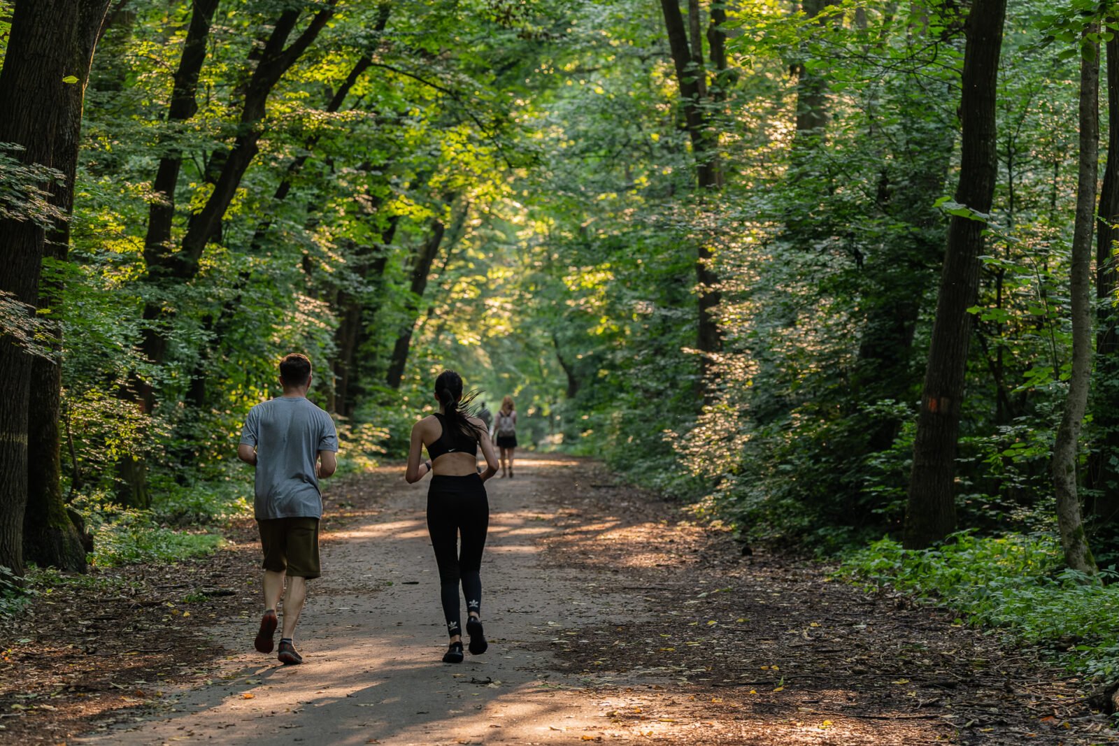 Un pas important pentru conservarea pădurii Băneasa: proiectul de transformare în parc natural de protecție Autoritățile și specialiștii din domeniul mediului au depus în martie 2026 un studiu cu potențial major pentru viitorul zonei verzi din nordul Capitalei