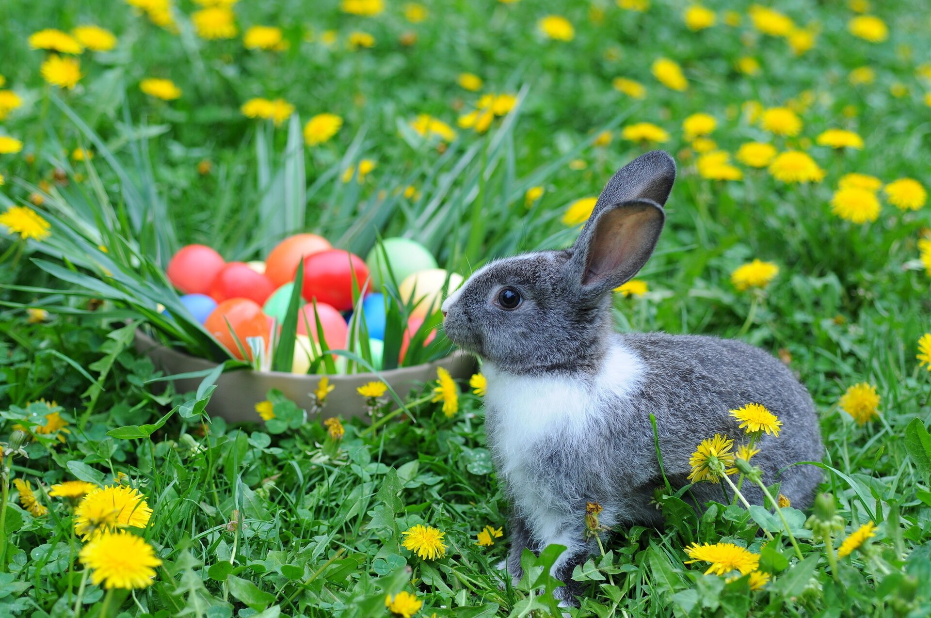 Paștele ortodox va fi sărbătorit pe 12 aprilie, iar cel catolic pe 5 aprilie