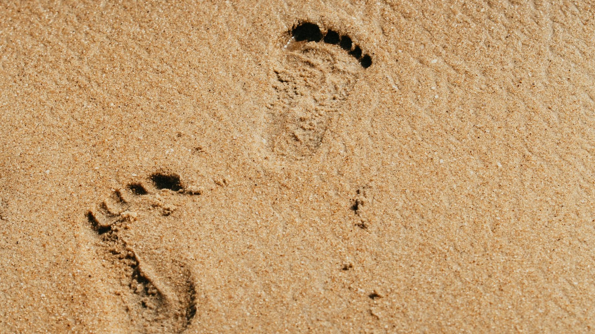 Un incident grav s-a petrecut luni, în zona fostei terase Lujo din Năvodari, având potențialul de a declanșa o criză de mediu și de siguranță publică pe litoralul românesc