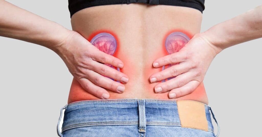 Renunțarea la obiceiurile alimentare nocive este crucială pentru sănătatea rinichilor, organ esențial în menținerea echilibrului organismului