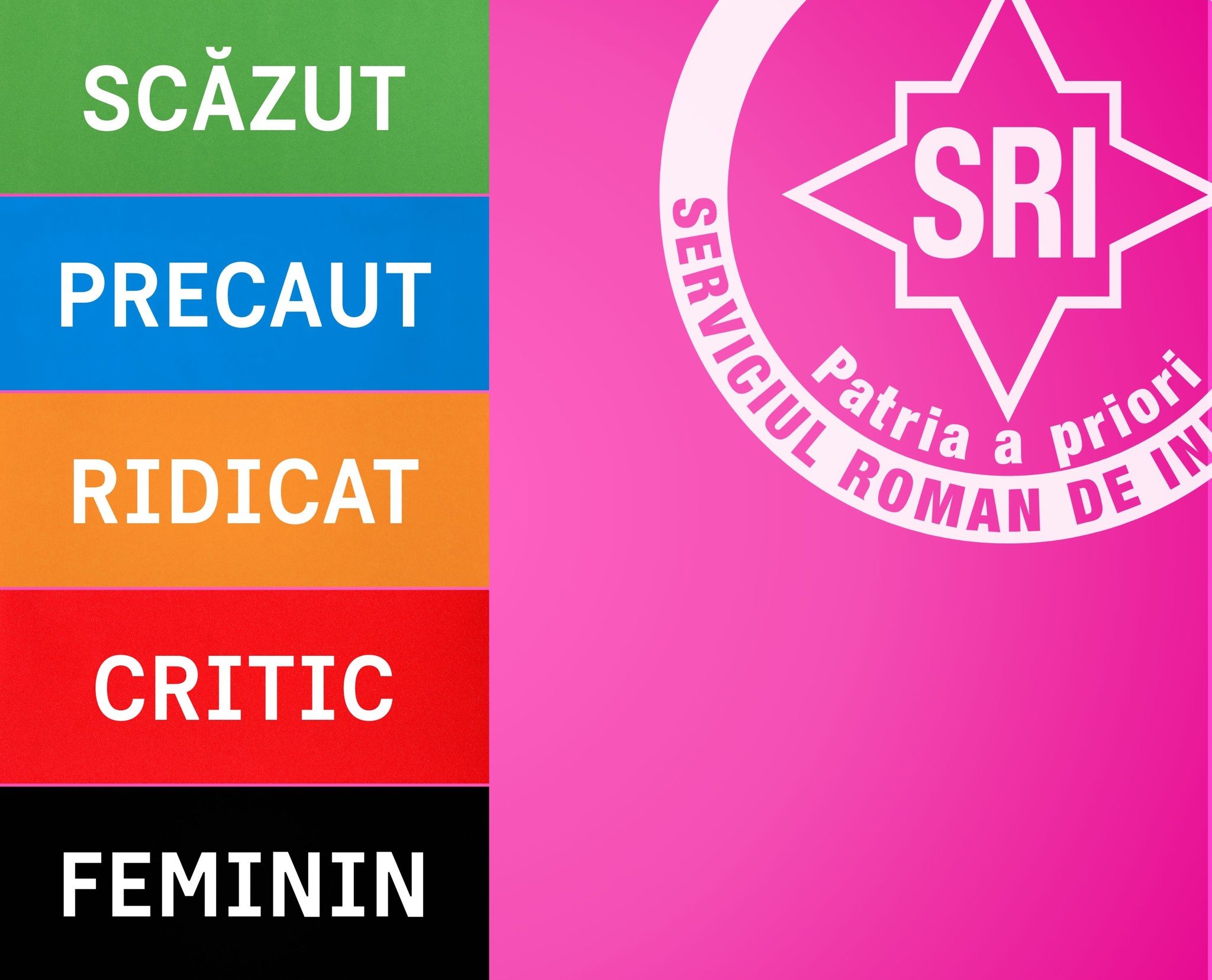 Serviciul Român de Informații stârnește controverse cu o postare de 8 Martie, care a atras atenția prin tonul ironic și reinterpretări inedite ale tematicii de gen Ziua Internațională a Femeii a fost marcată, în acest an, într-un mod neașteptat, de către Serviciul Român de Informații (SRI)