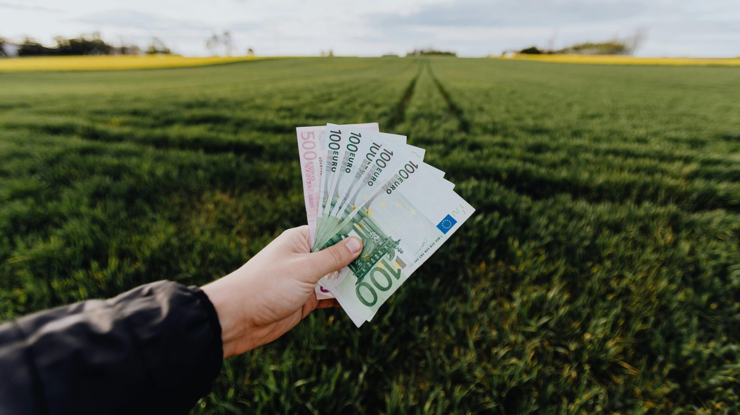 Plata ecoschemei PD-28 a devenit o prioritate pentru fermieri, după ce Agenția de Plăți și Intervenție pentru Agricultură (APIA) a anunțat că va continua plățile pentru sezonul 2023