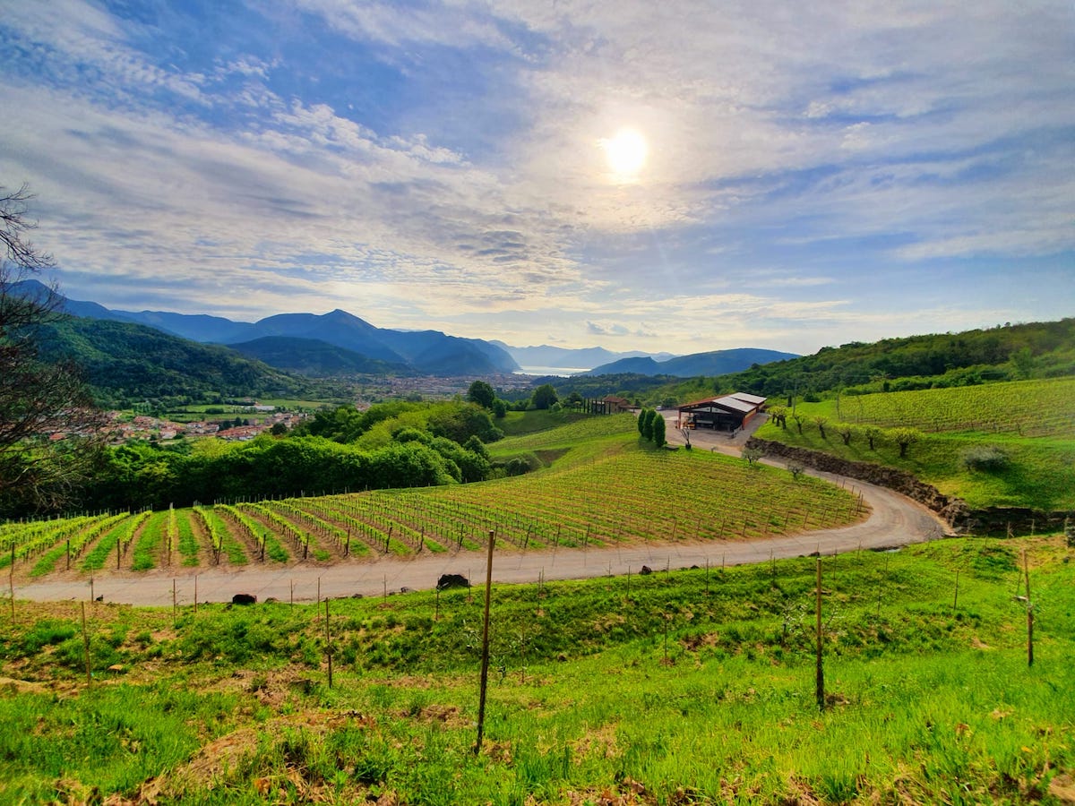 Femeile conduc în Toscana aproape o pătrime dintre firmele din regiune, iar străinii dețin poziții de conducere în număr semnificativ, conform datelor recente