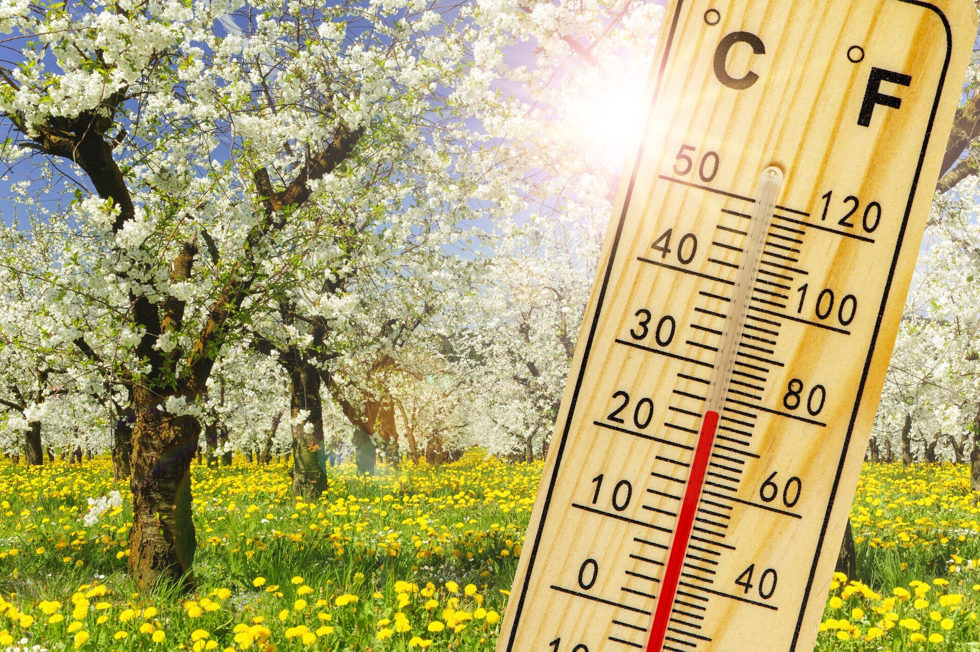 Vremea de weekend aduce schimbări spectaculoase: temperaturi peste normalul perioadei în toată țara După o săptămână cu temperaturi scăzute și zile înnorate, meteorologii anunță o răsturnare subtilă a condițiilor atmosferice pentru weekendul ce vine