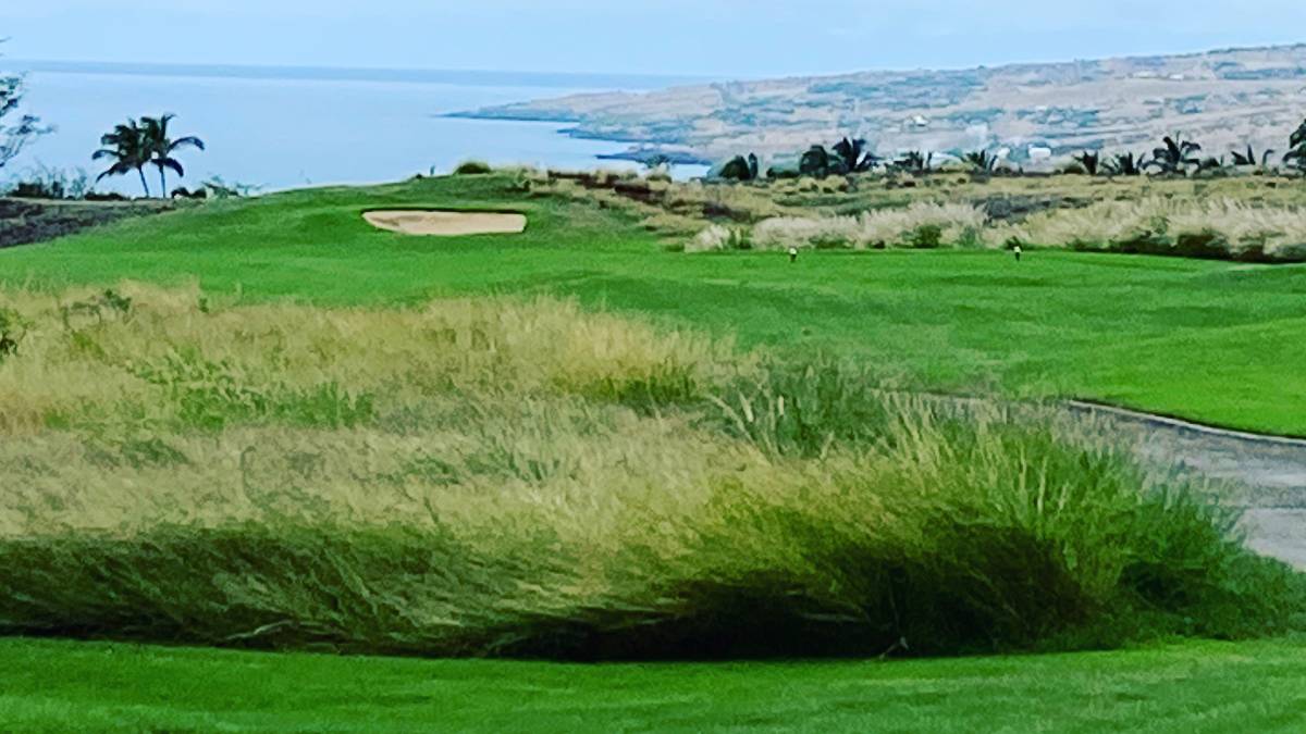 Vreme schimbătoare pe insulele Hawaii: scurgeri de nori, vânturi puternice și prognoze cu variații semnificative Insulele Hawaii se află din nou sub influența unor condiții meteorologice instabile, cu prognoze care anunță scurgeri de nori, vânturi puternice și variații de temperatură în următoarele zile