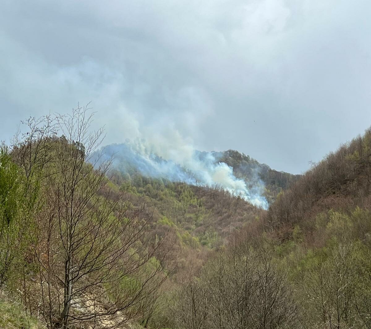 Incendiul de vegetație uscată din apropierea complexului „Două Veverițe” din Lăpușel a devenit o intervenție delicată pentru autorități Un incendiu de vegetație uscată și litieră din zona împădurită din apropierea complexului turistic „Două Veverițe” din comuna Lăpușel, județul Maramureș, a mobilizat în aceste momente un număr semnificativ de forțe de intervenție