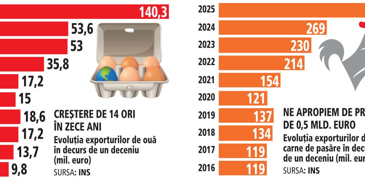 Milioane de euro în ferme de păsări: Exporturi record de carne și ouă din România