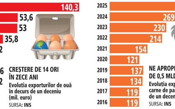 Milioane de euro în ferme de păsări: Exporturi record de carne și ouă din România