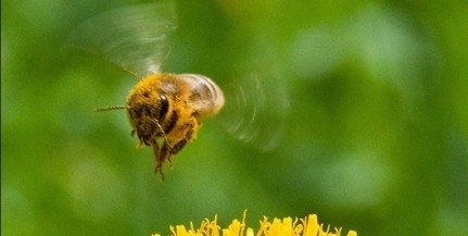 Vremea se încălzește și va atinge 20 de grade joi