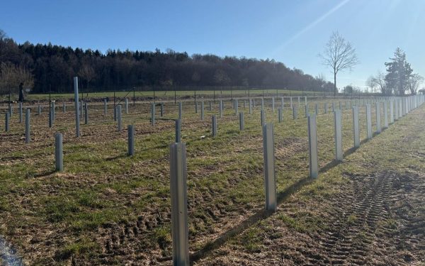 Bolojan, despre „băieții deștepți” din energie: Proiecte blocate, scoase la vânzare pe OLX