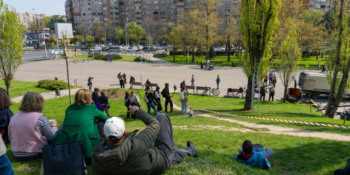 Arborii din Parcul Tineretului, în pericol: Cum sunt salvați plopii. Intervenții pilot cu public