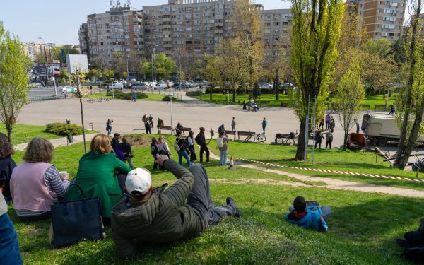 Arborii din Parcul Tineretului, în pericol: Cum sunt salvați plopii. Intervenții pilot cu public