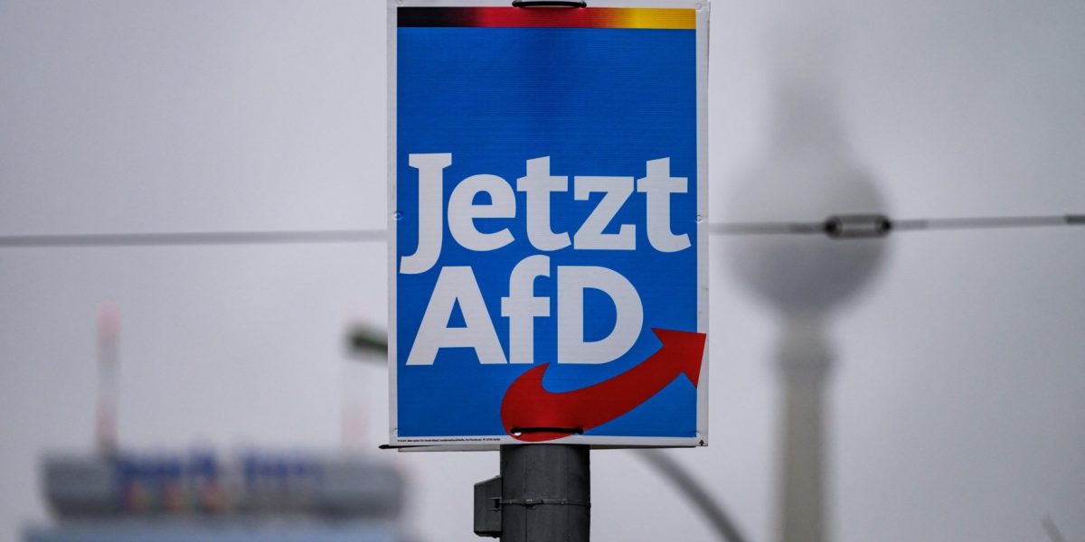AfD, partidul extremist, conduce în Germania Un sondaj șochează coaliția de la guvernare