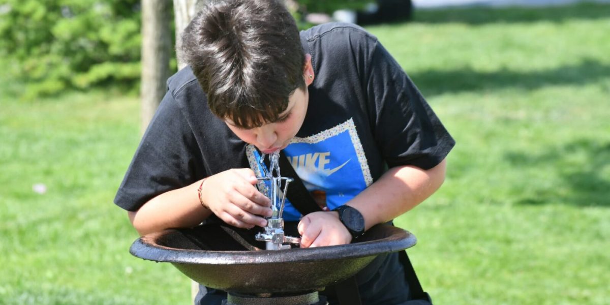 Afacere cu cișmele în Sectorul 6: Primăria justifică contractul cu o firmă cu doi angajați