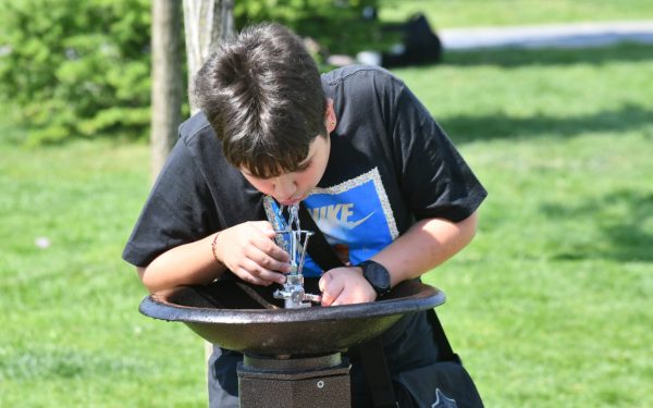 O firmă cu UN angajat, contract de 80.000 euro pentru cișmele în Sectorul 6