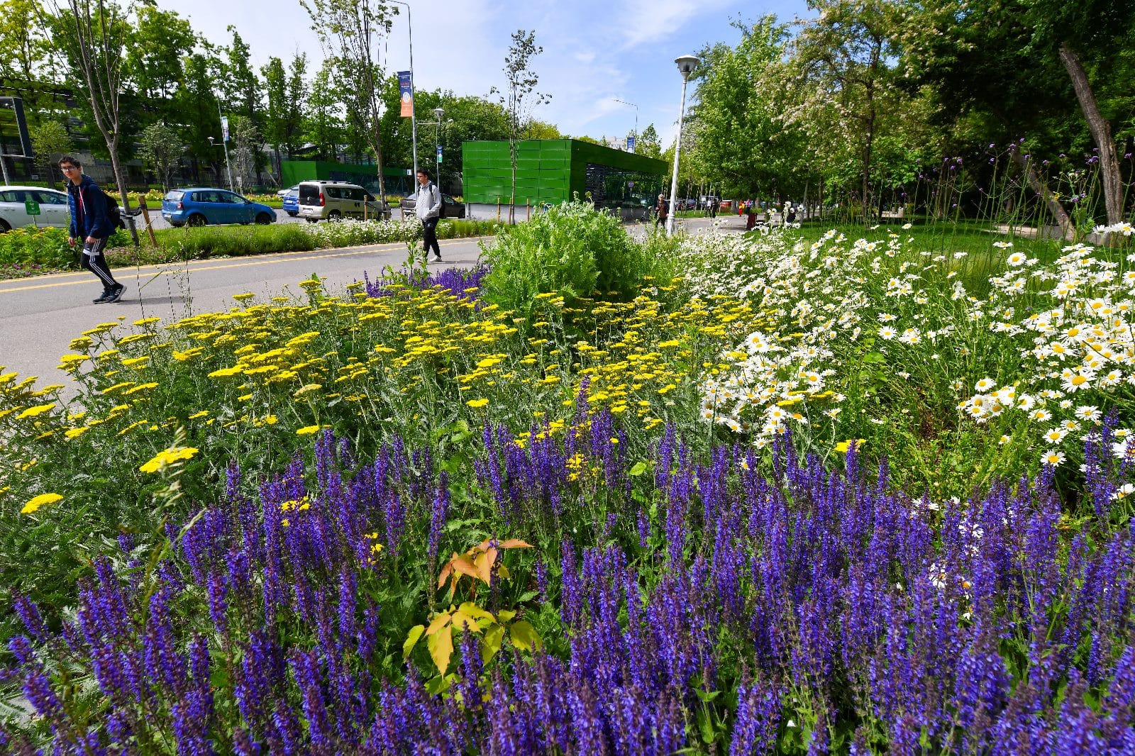 Autoritățile din Sectorul 2 al Capitalei din București au anunțat recent implementarea unui program destinat sprijinirii asociațiilor de proprietari în procesul de reabilitare a spațiilor publice din apropierea blocurilor de locuințe