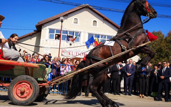Paștele Cailor chiar există! Sărbătoare inedită, ignorată de mulți