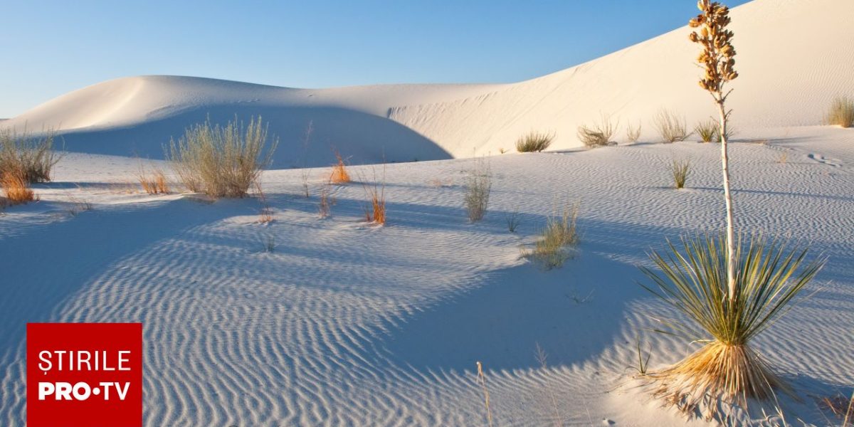 Deșertul, transformat în beton: Cum au reușit două țări performanța incredibilă