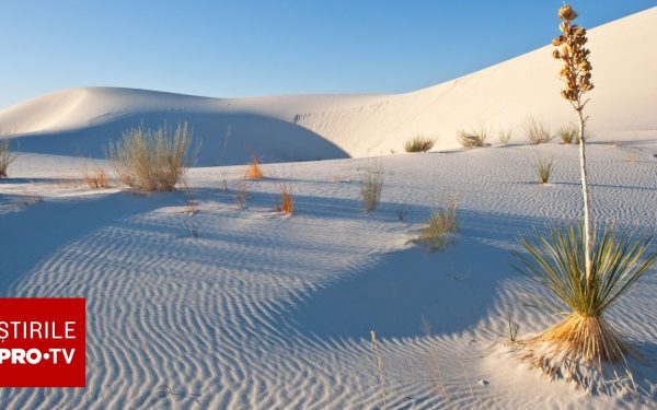 Deșertul, transformat în beton: Cum au reușit două țări performanța incredibilă