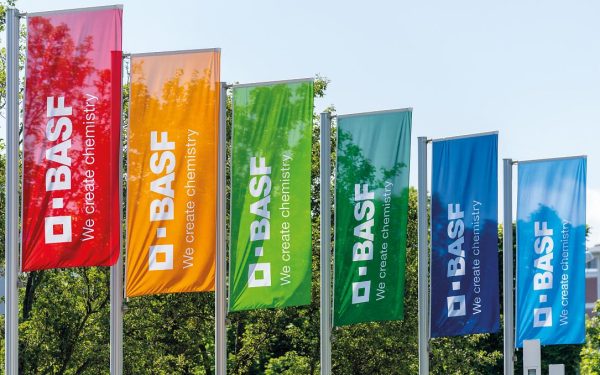 BASF angajează peste 50 de specialiști în București, pentru roluri corporate