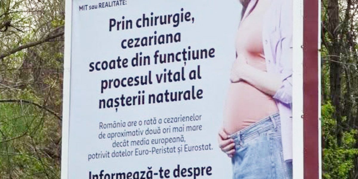 Cynthia Păun, scandal cu panouri controversate: Cere intervenție urgentă în 2026?