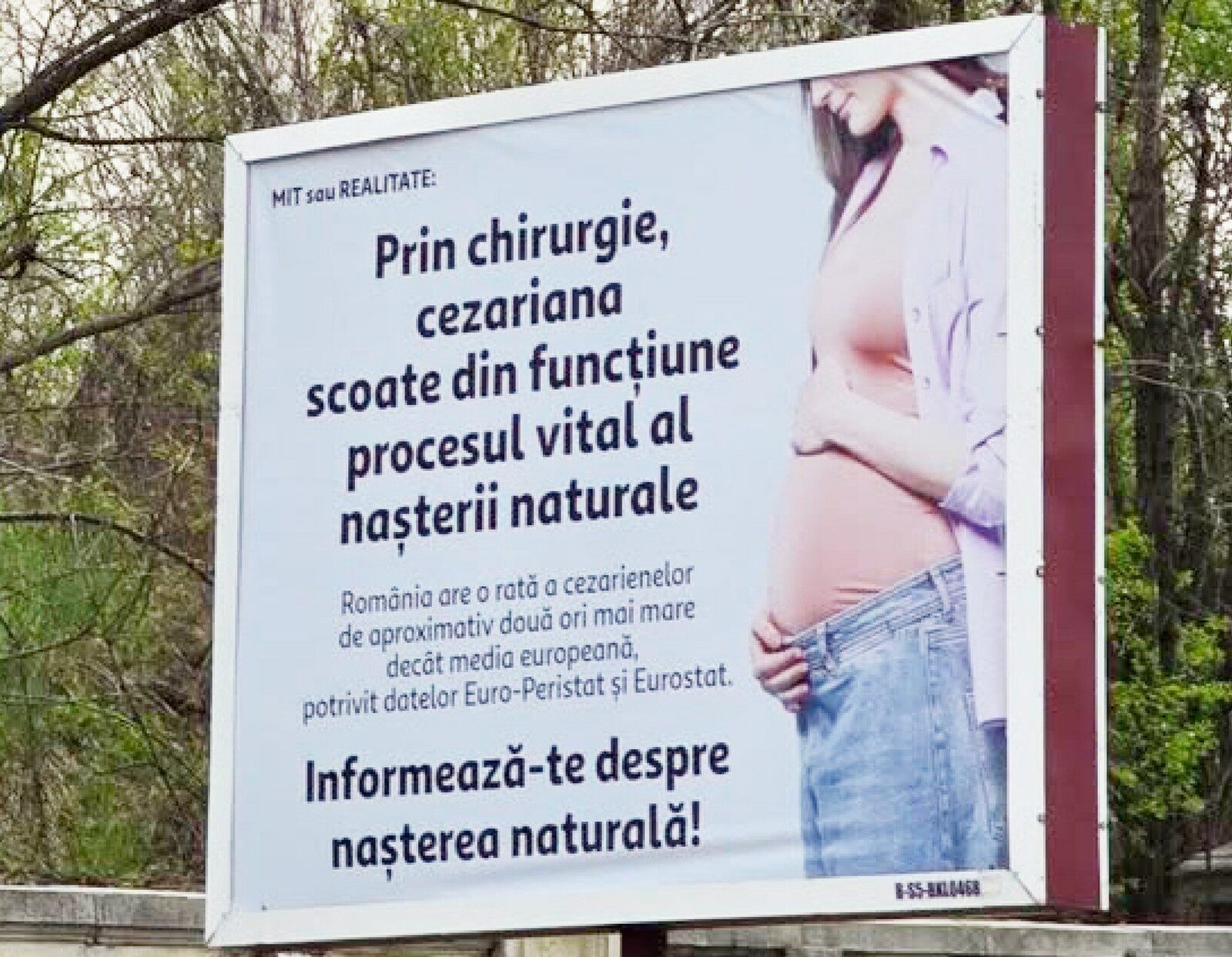 Cynthia Păun, scandal cu panouri controversate: Cere intervenție urgentă în 2026?
