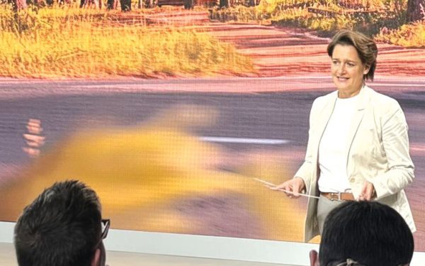 România, paralizată în crize, ratează investiții. Ungaria: BMW, BYD. Dacia, cu ochii spre Turcia