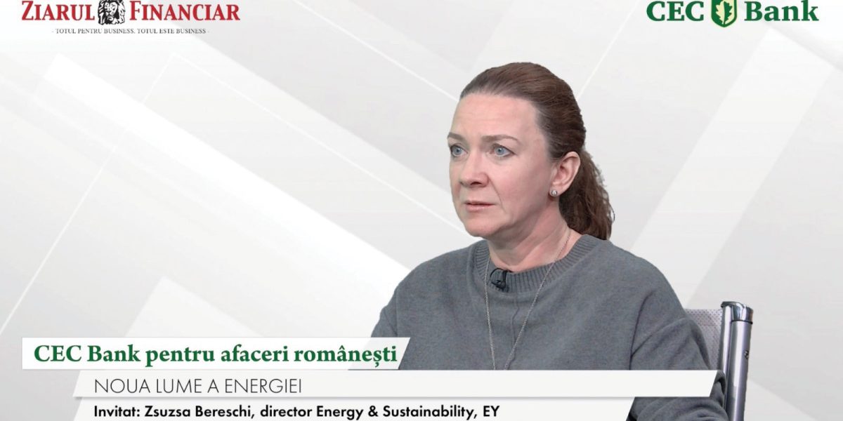 BANCĂ pentru afaceri: Resursele României, punct forte. Zsuzsa Bereschi (EY): Ce Industrie vrem