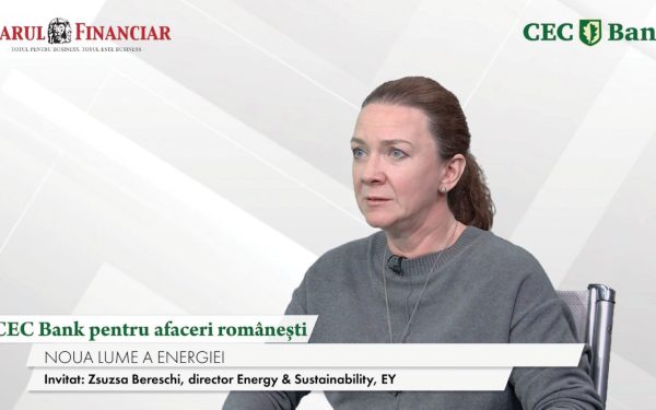 BANCĂ pentru afaceri: Resursele României, punct forte. Zsuzsa Bereschi (EY): Ce Industrie vrem