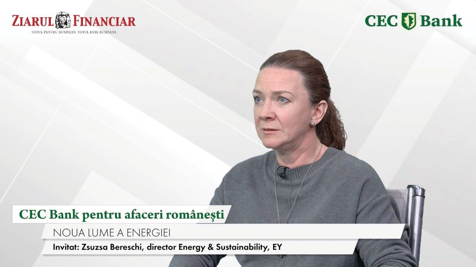 BANCĂ pentru afaceri: Resursele României, punct forte. Zsuzsa Bereschi (EY): Ce Industrie vrem