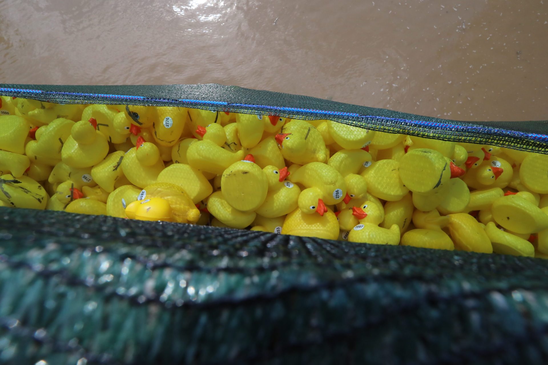 O „furtună de microplastice” amenință sănătatea umană, potrivit unui nou studiu amplu care detaliază multiple surse de expunere la aceste particule microscopice