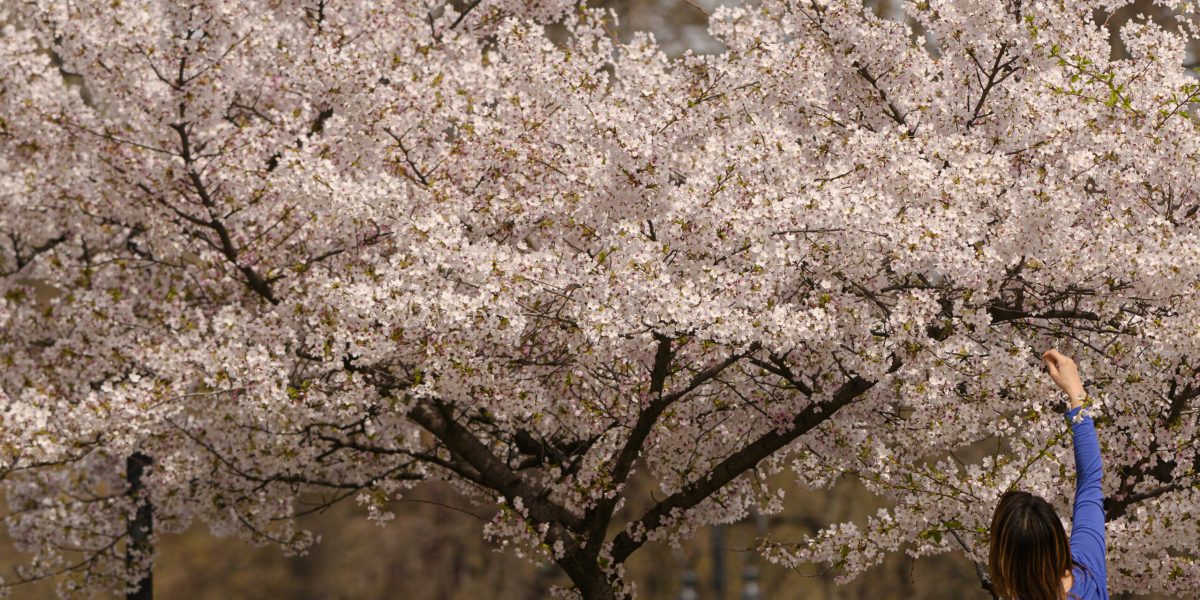 Vremea de Paște în București: Prognoza care zâmbește bucureștenilor