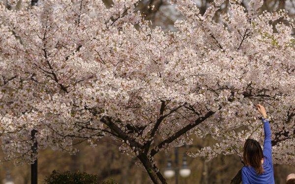 Vremea de Paște în București: Prognoza care zâmbește bucureștenilor