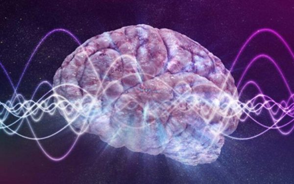 Noua teorie a minții dărâmă tot: Nu neuronii decid totul!