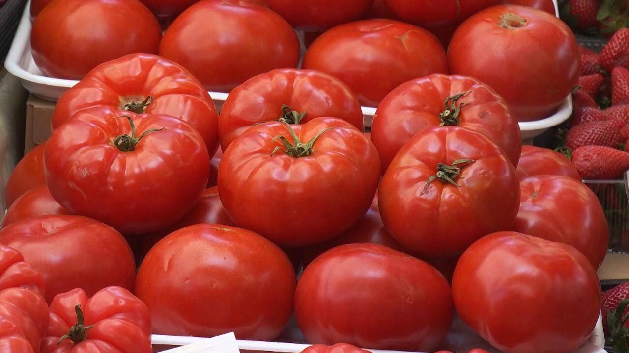 Producătorii români de legume se confruntă cu un sezon dificil, prețurile roșiilor autohtone fiind în continuare extrem de ridicate comparativ cu cele de import